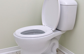 Toilet Repair